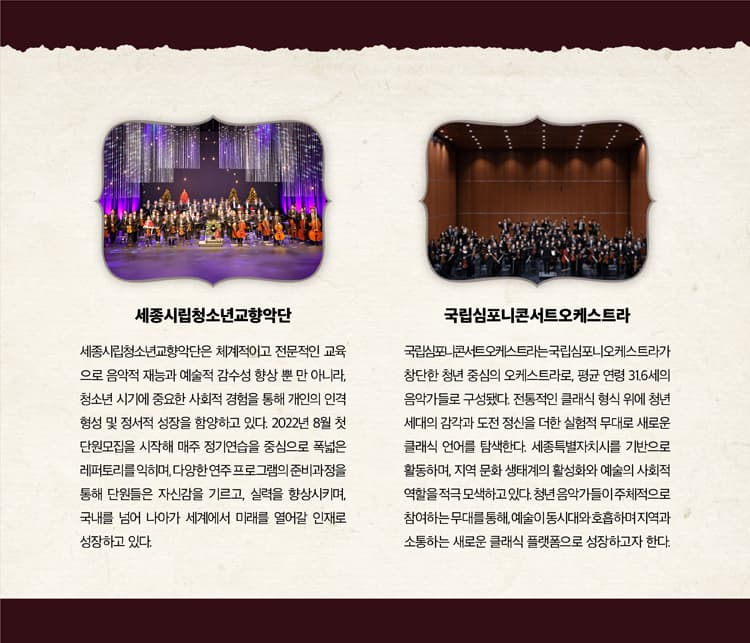 제6회 세종시립청소년교향악단 정기연주회 [세종] 소개 이미지 3