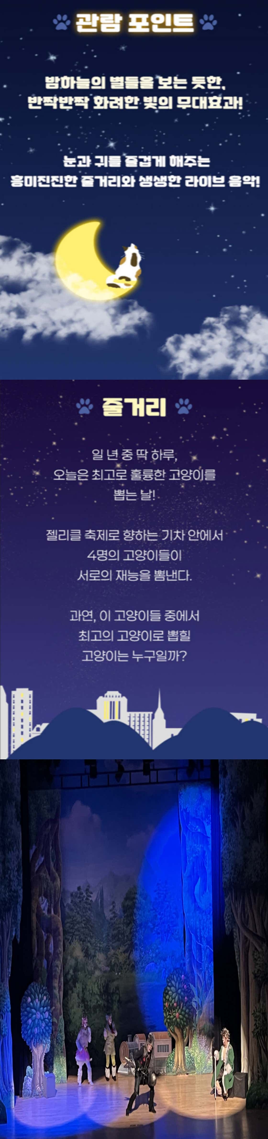 어린이 캣 [서울 관악] promotional image 2
