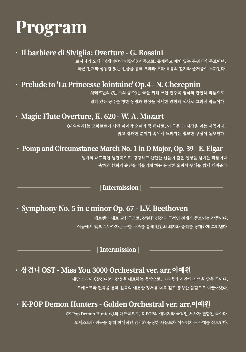 제15회 베누스토 분당 오케스트라 정기연주회: Harmonic Bridge 소개 이미지 2