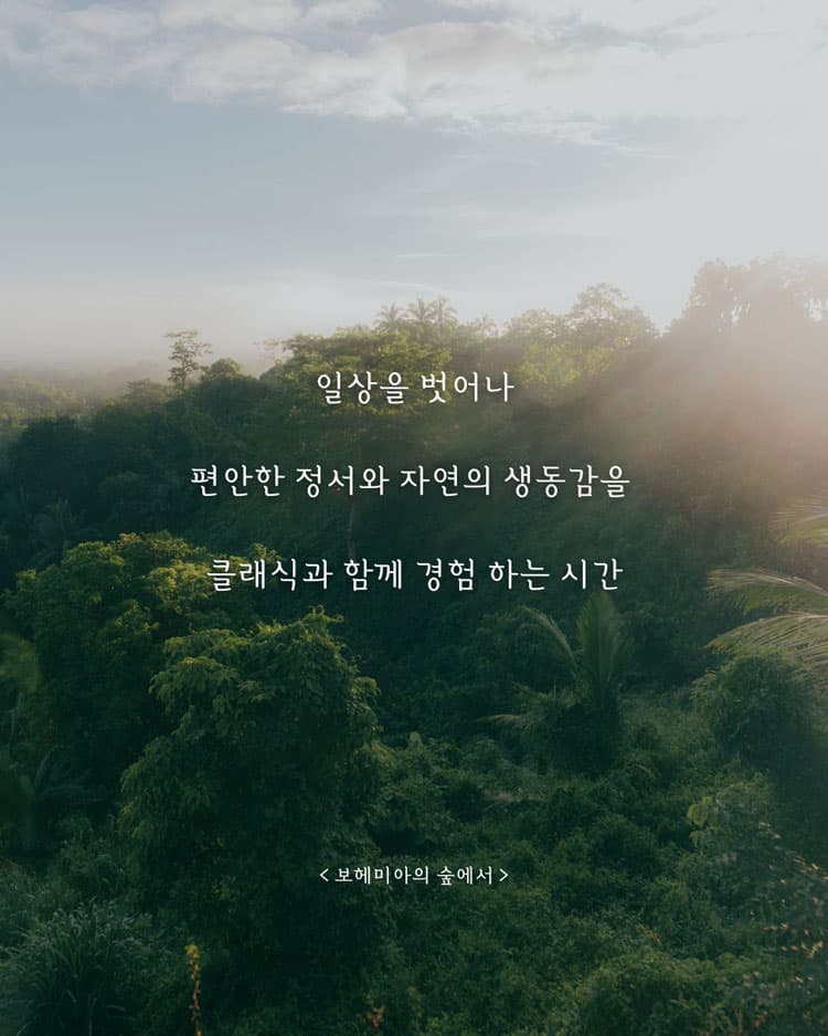 보헤미아의 숲 [세종] promotional image 2