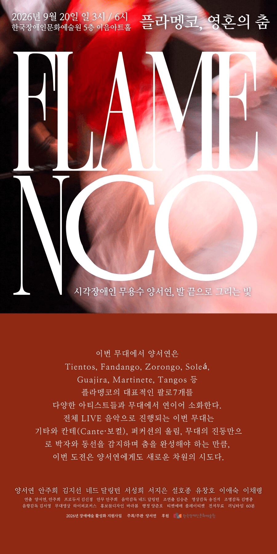 플라멩코, 영혼의 춤 소개 이미지 1