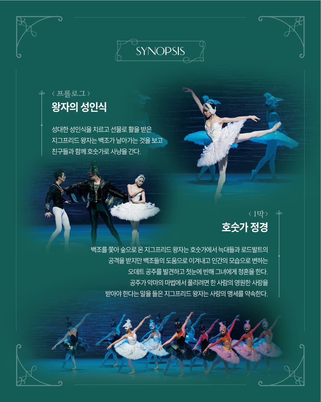 백조의 호수 [고창] 소개 이미지 3