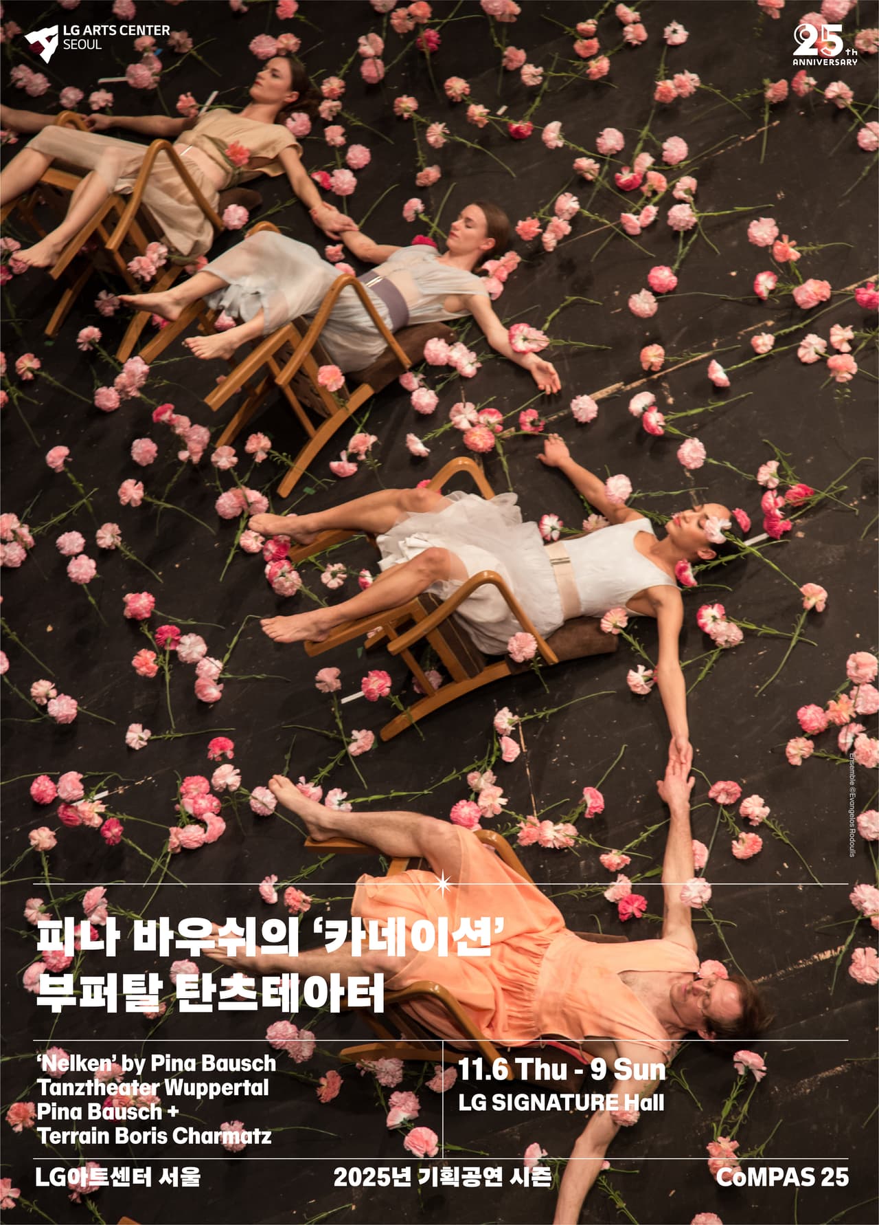 피나 바우쉬의 카네이션: 부퍼탈 탄츠테아터 공연 포스터