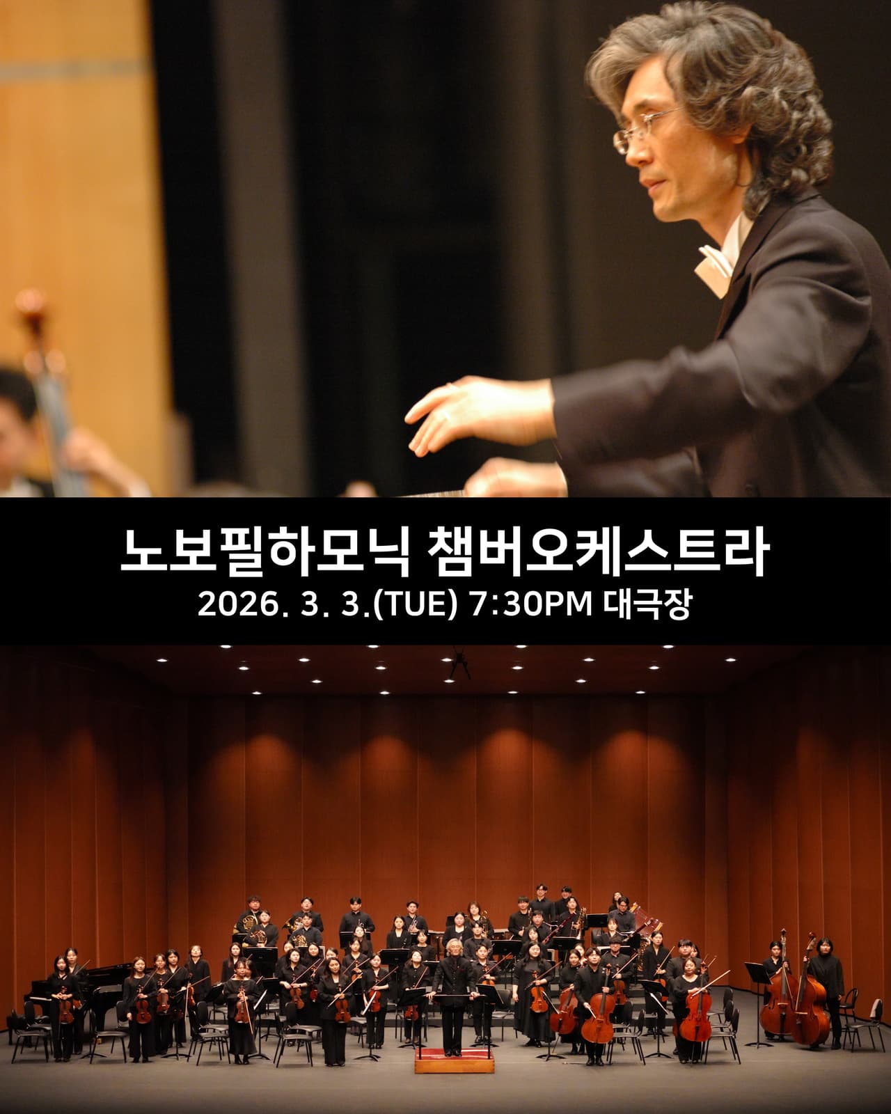 수성아트피아 시즌페스티벌, 봄 음악제: 노보 필하모닉 챔버 오케스트라 [대구] 공연 포스터
