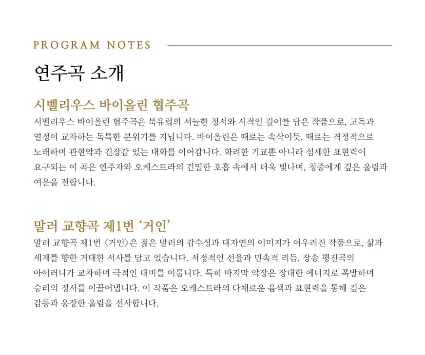 제20회 팡세오케스트라 정기연주회 소개 이미지 3